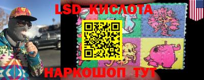дурь Сланцы