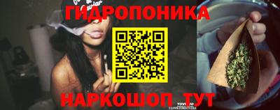 тгк Славгород