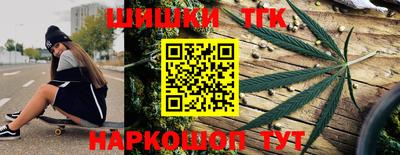 дурь Сланцы