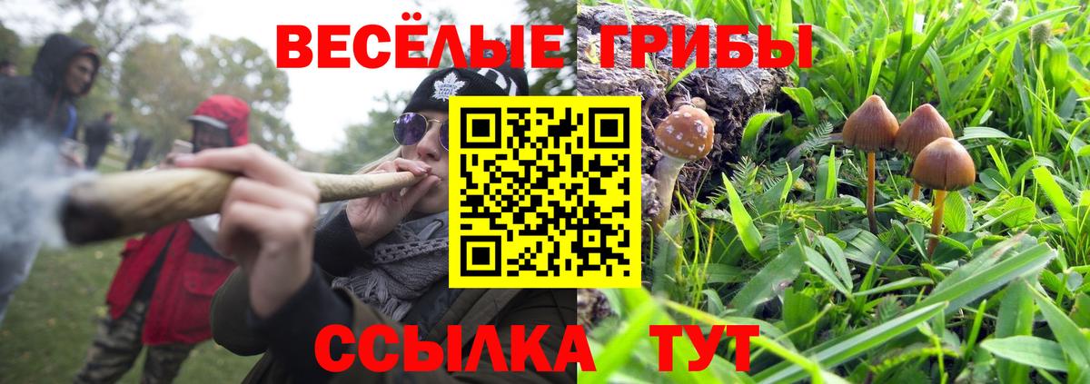 Южноуральск  Галлюциногенные грибы Psilocybe  купить наркотик  Вход с VPN 
